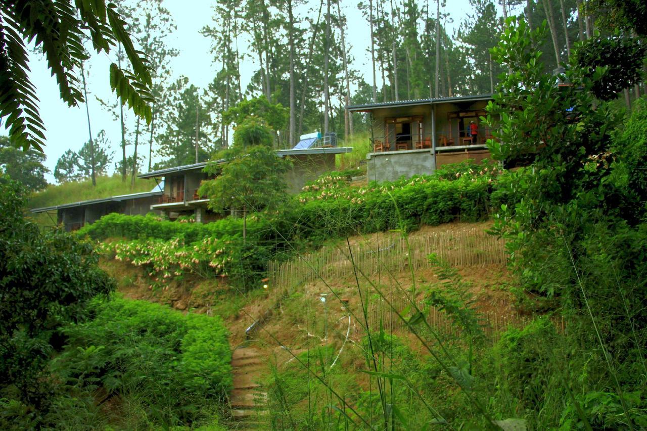 Rowinrich Cottages Ella Εξωτερικό φωτογραφία