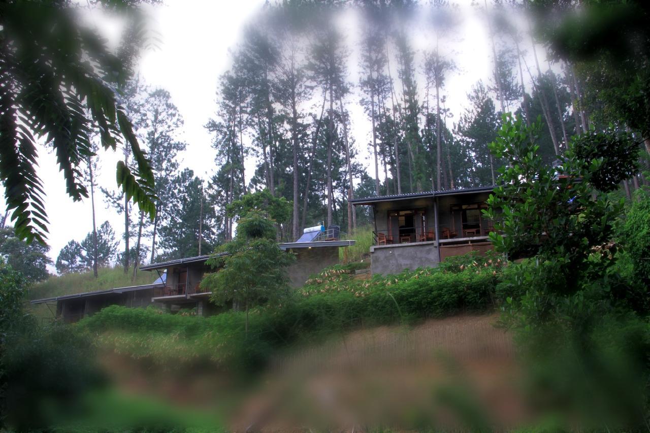 Rowinrich Cottages Ella Εξωτερικό φωτογραφία